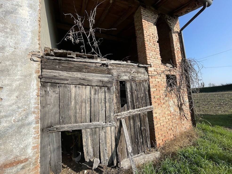 immagine annuncio 1 di 4