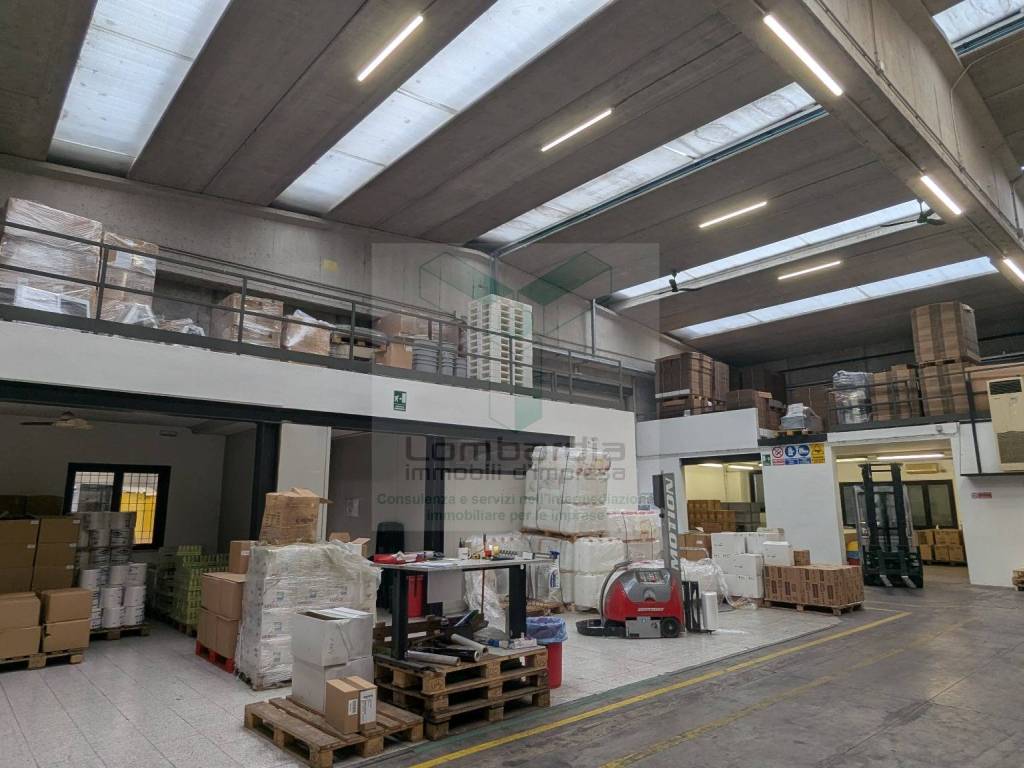 immagine annuncio 4 di 5