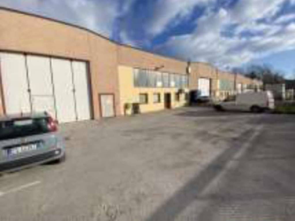 immagine annuncio 2 di 5