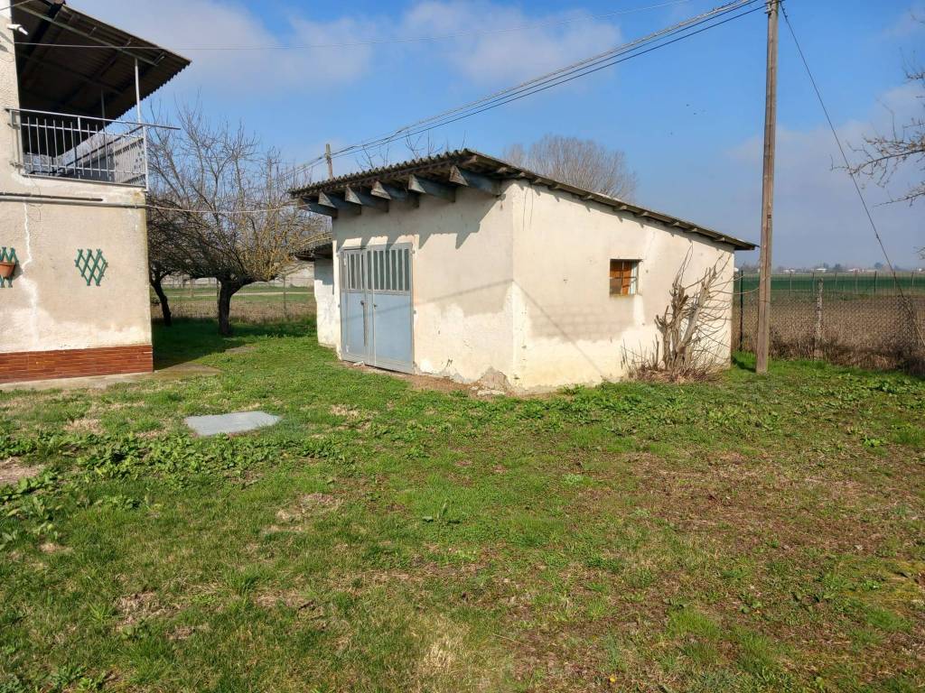 immagine annuncio 2 di 5