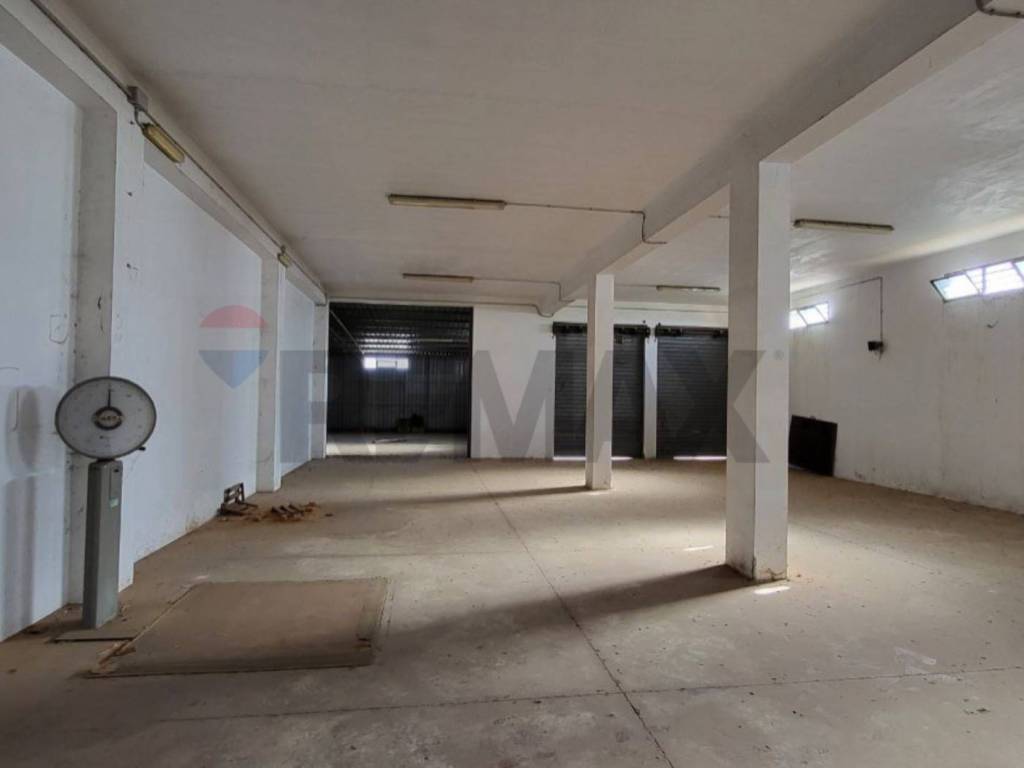 immagine annuncio 2 di 4