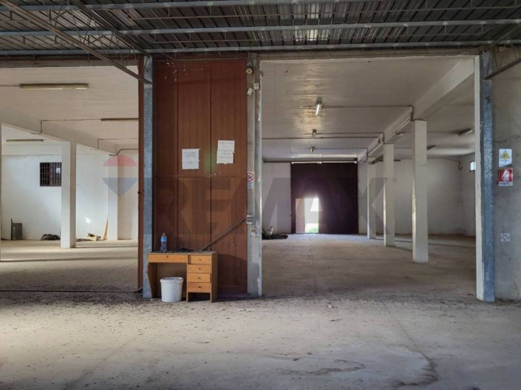 immagine annuncio 3 di 4