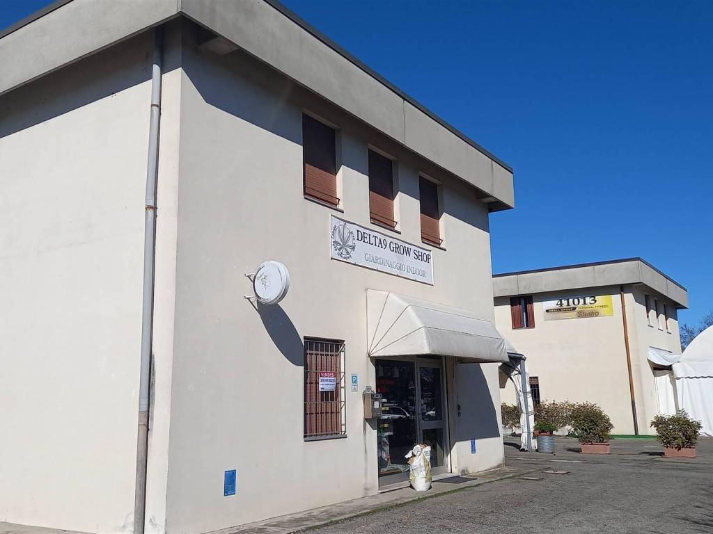 immagine annuncio 1 di 3