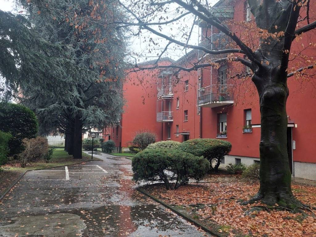 immagine annuncio 2 di 5