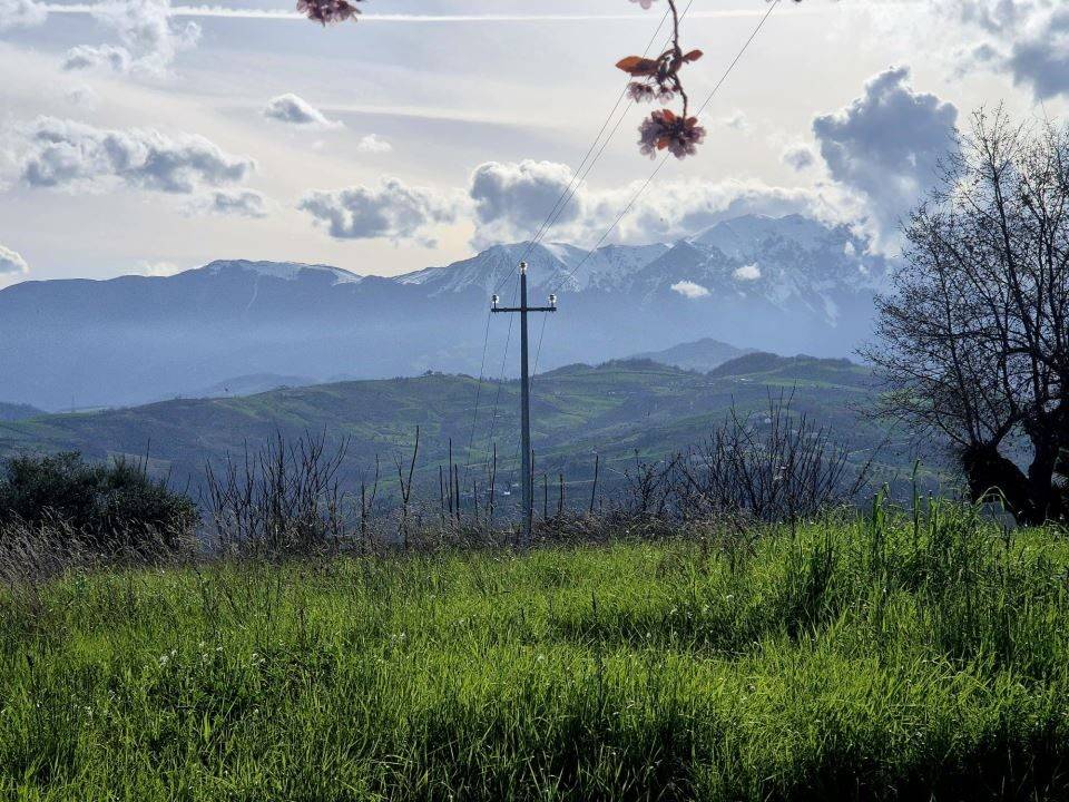 immagine annuncio 0 di 3