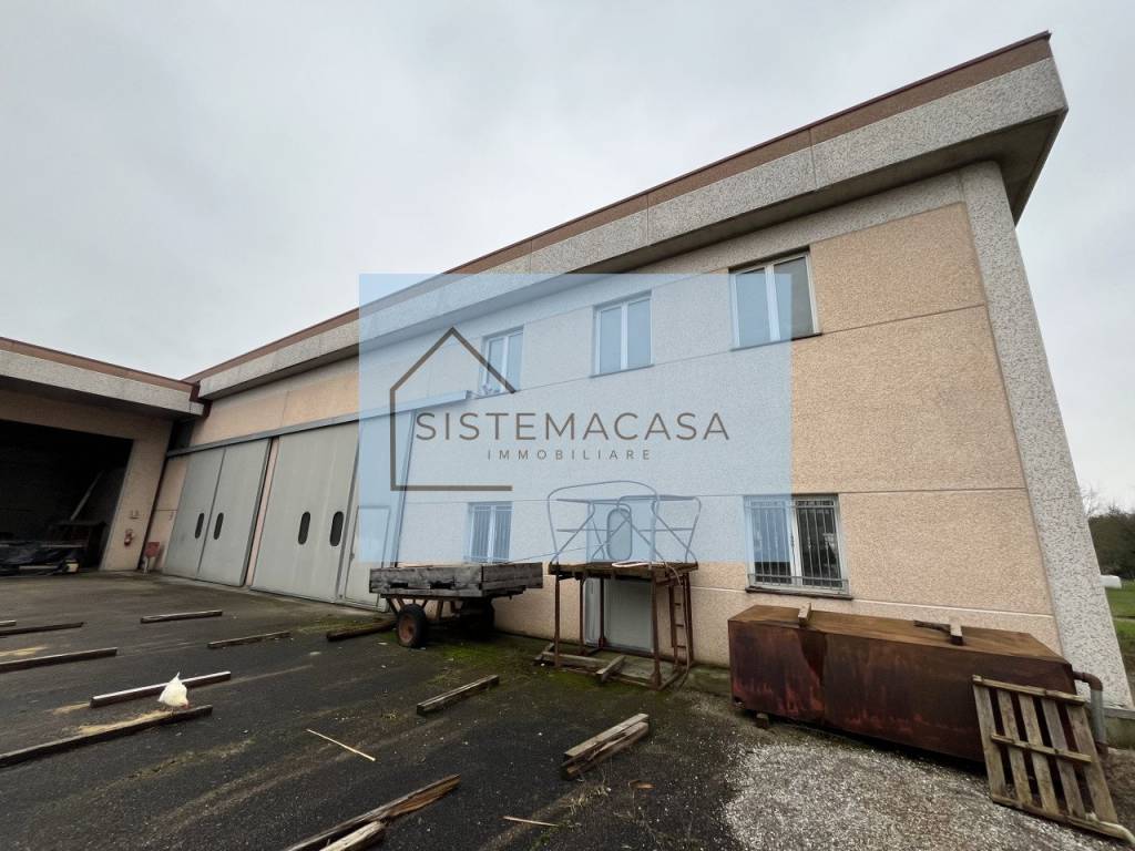 immagine annuncio 1 di 5