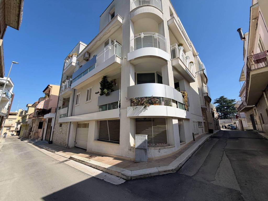 immagine annuncio 1 di 2