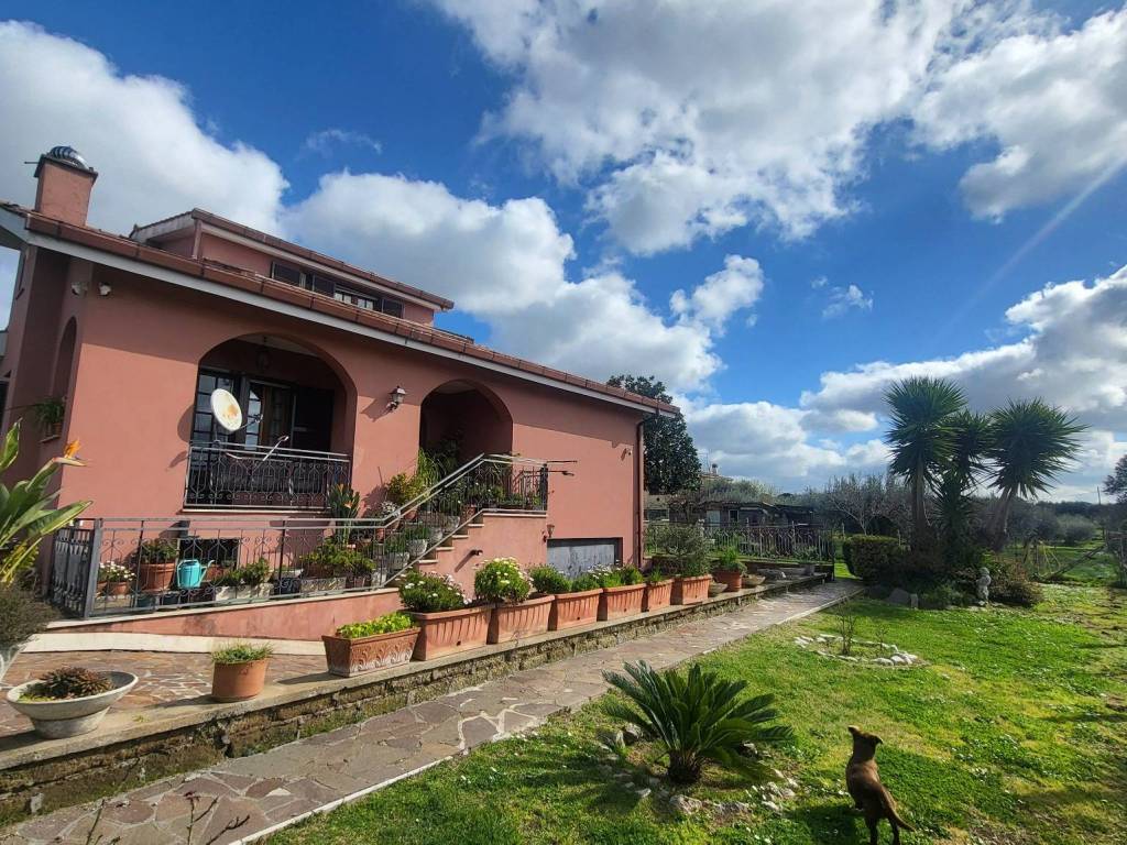 immagine annuncio 4 di 5