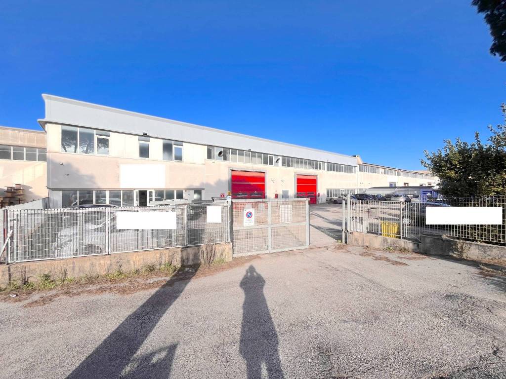 immagine annuncio 2 di 5