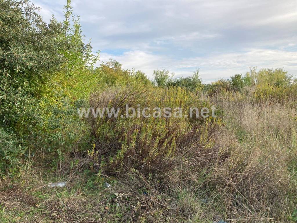 immagine annuncio 1 di 2