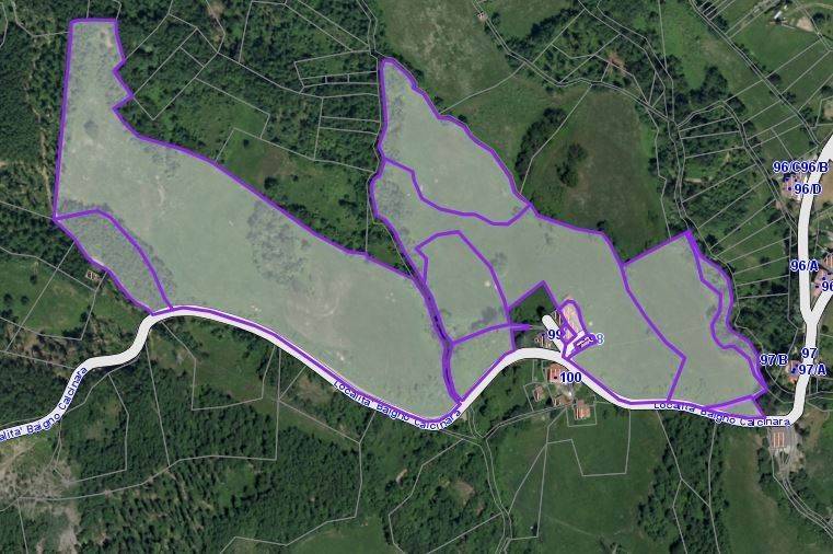 immagine annuncio 1 di 2