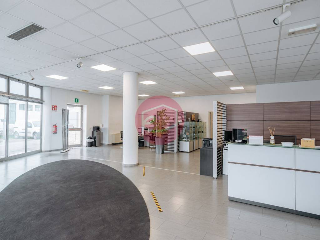 immagine annuncio 3 di 5