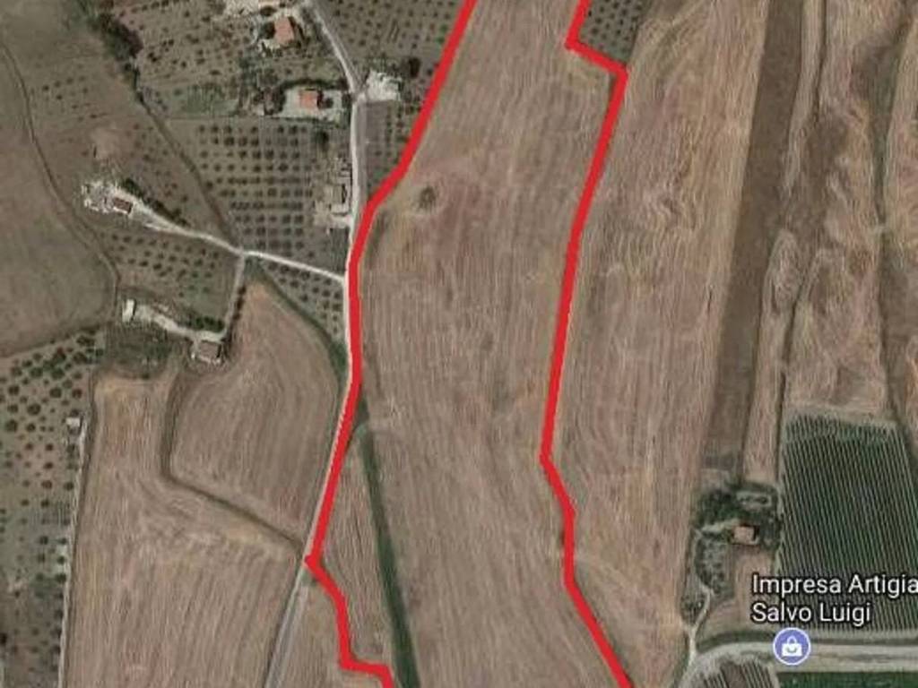 immagine annuncio 1 di 2