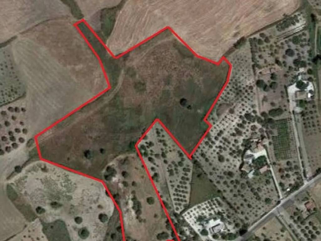 immagine annuncio 1 di 4