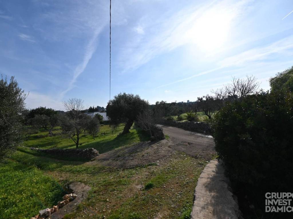 immagine annuncio 2 di 4