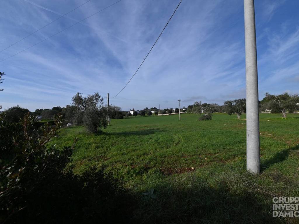 immagine annuncio 3 di 4