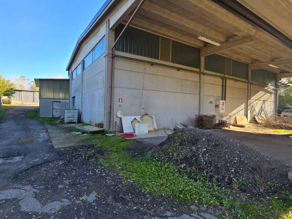 immagine annuncio 1 di 5