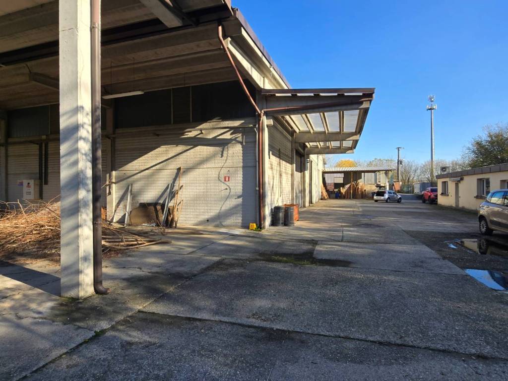 immagine annuncio 2 di 5