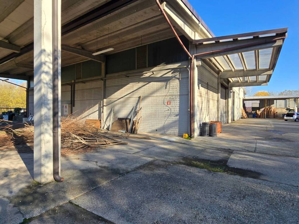 immagine annuncio 3 di 5