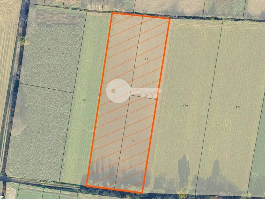 immagine annuncio 1 di 2