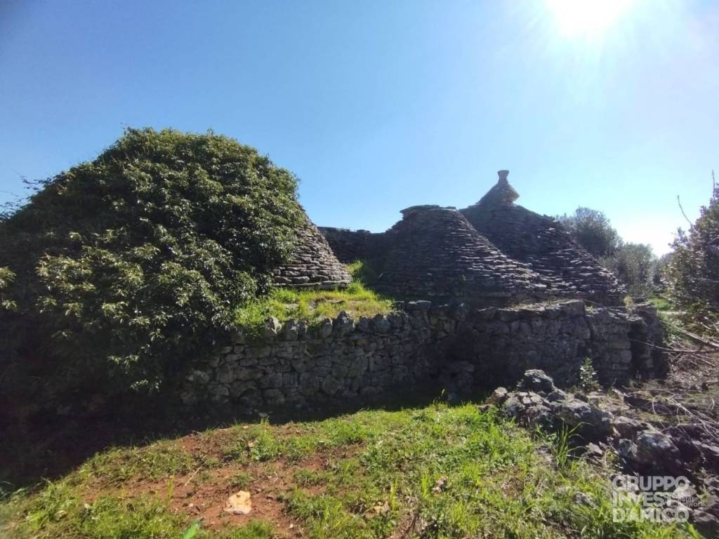 immagine annuncio 1 di 4