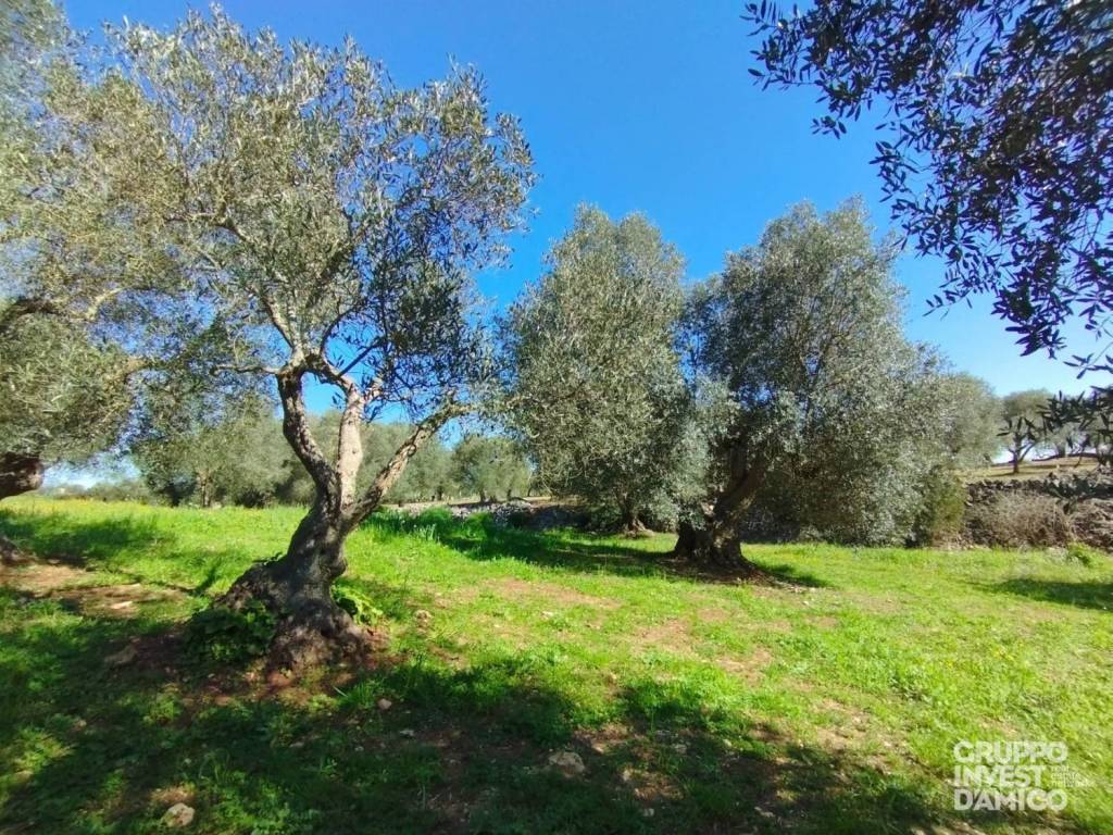 immagine annuncio 3 di 4