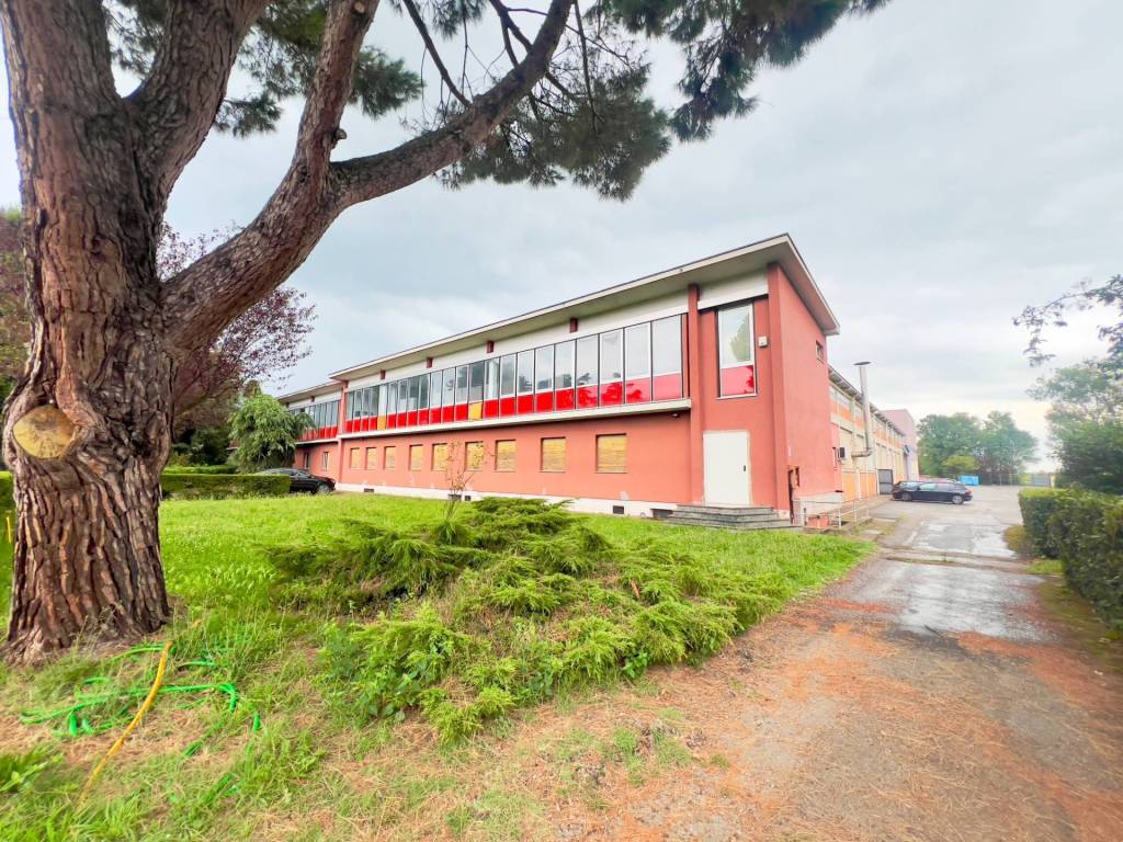 immagine annuncio 3 di 5