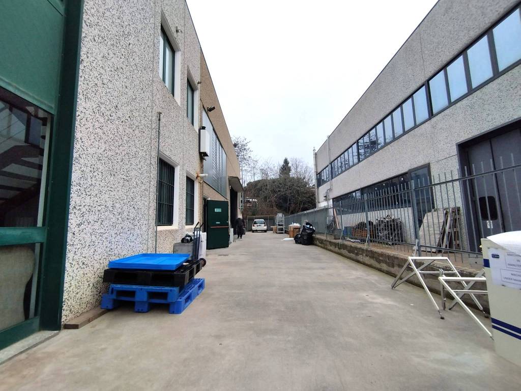 immagine annuncio 4 di 5