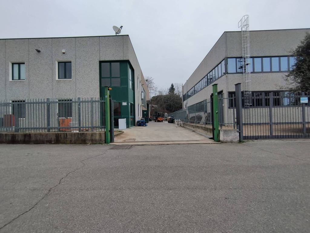 immagine annuncio 2 di 5