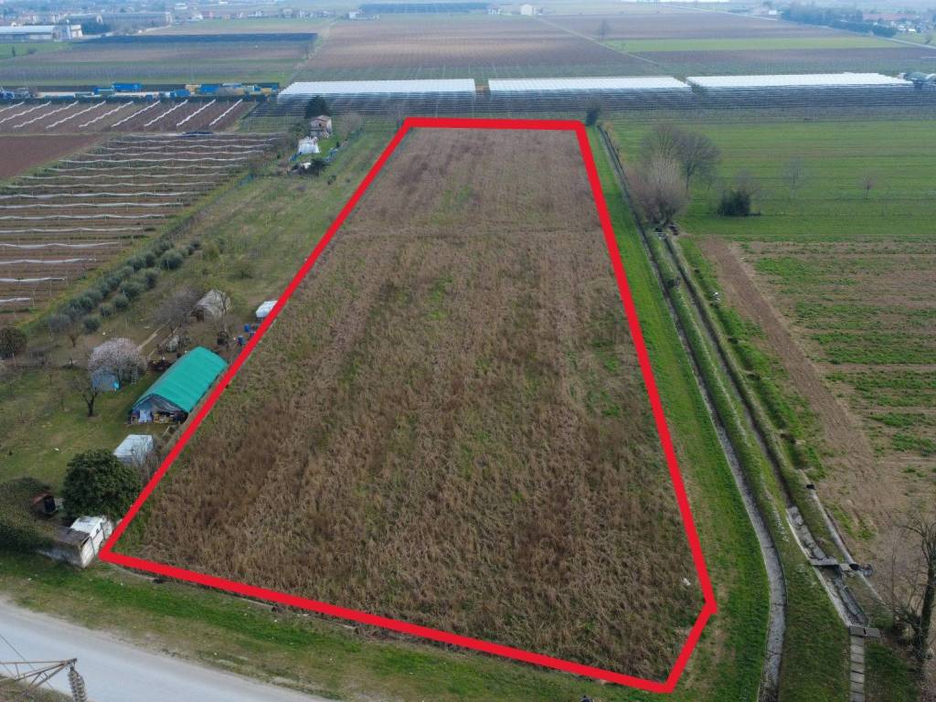 immagine annuncio 1 di 4