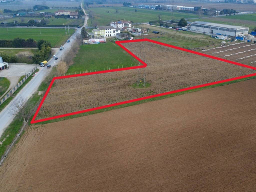 immagine annuncio 2 di 4