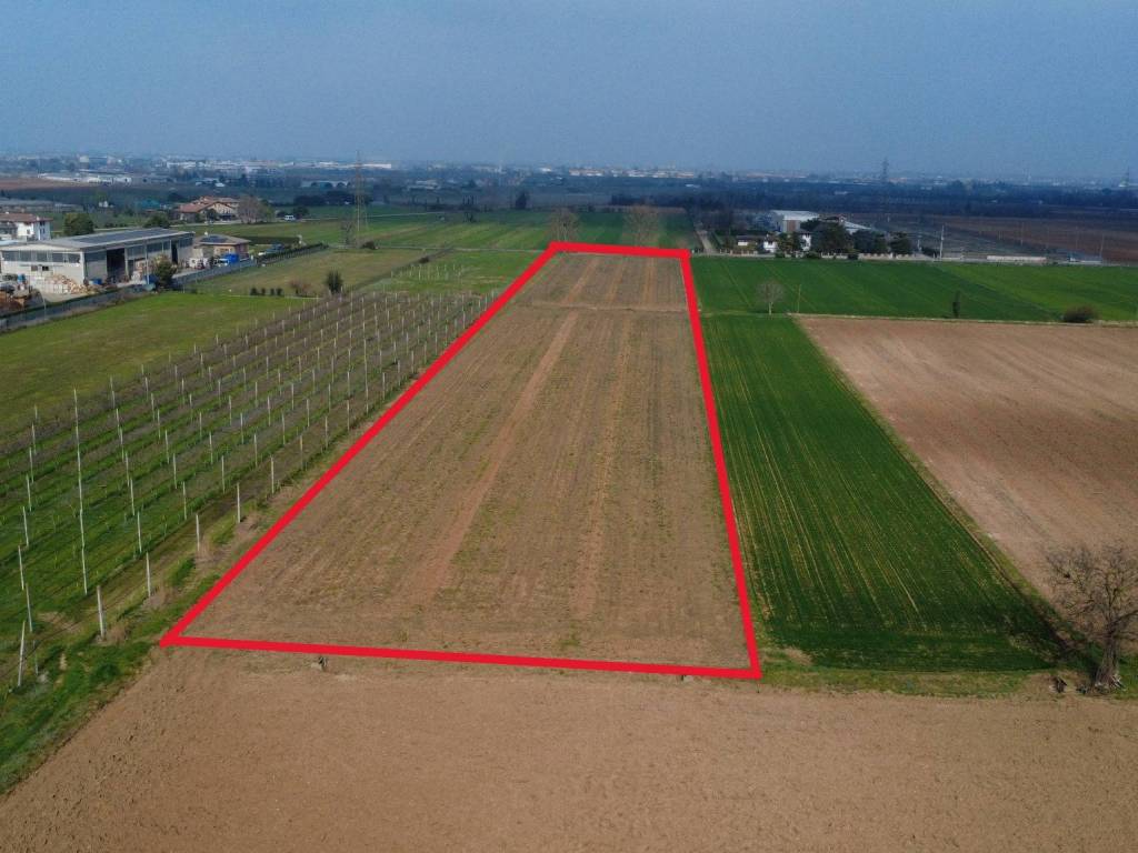 immagine annuncio 3 di 4