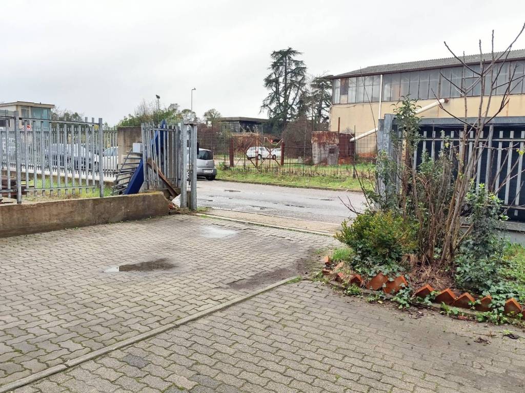 immagine annuncio 2 di 5