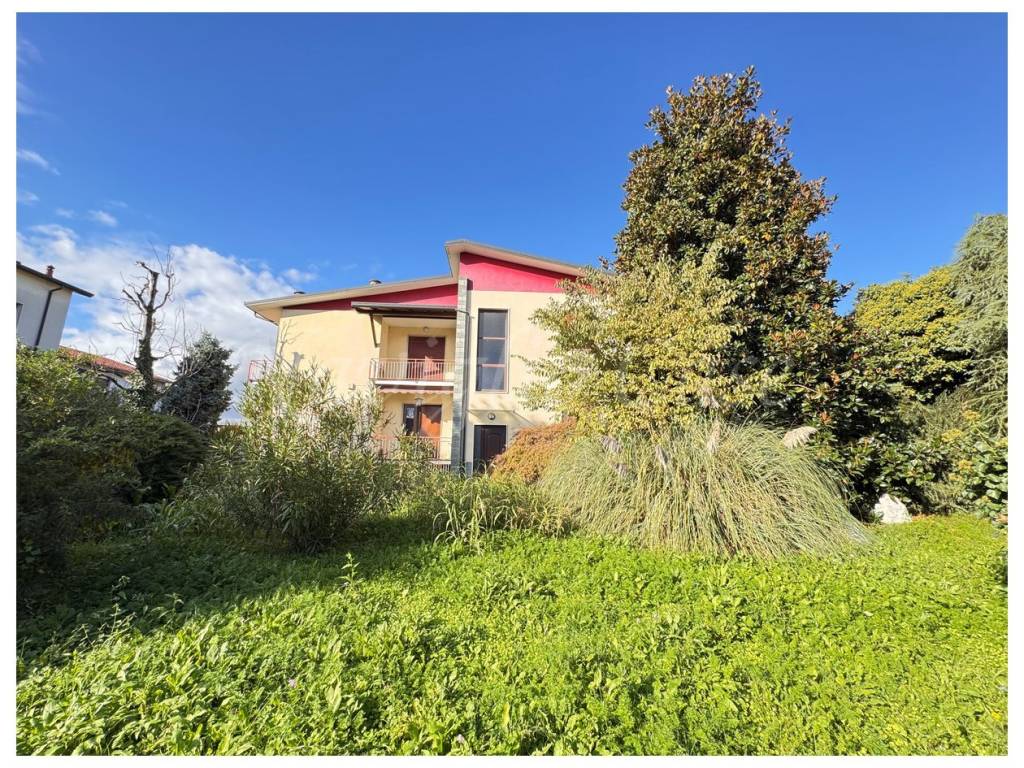 immagine annuncio 3 di 5