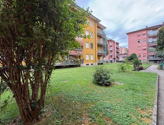 immagine annuncio 2 di 5