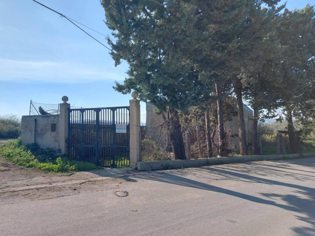 immagine annuncio 1 di 4