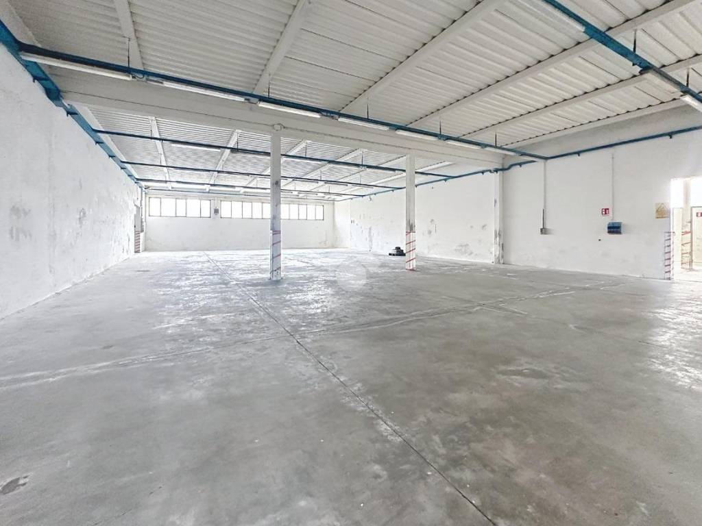 immagine annuncio 2 di 5