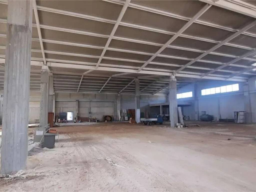 immagine annuncio 2 di 4