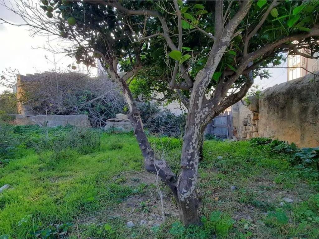 immagine annuncio 3 di 4