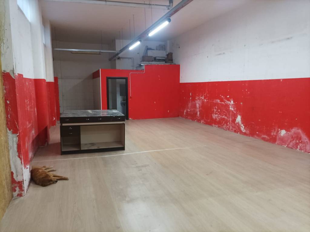 immagine annuncio 1 di 4