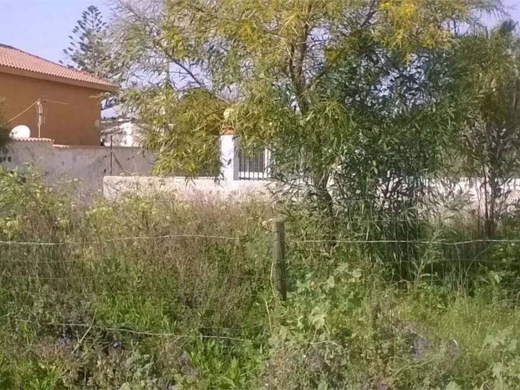 immagine annuncio 1 di 2