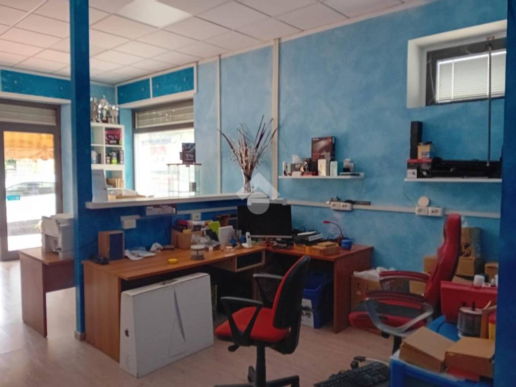 immagine annuncio 4 di 5