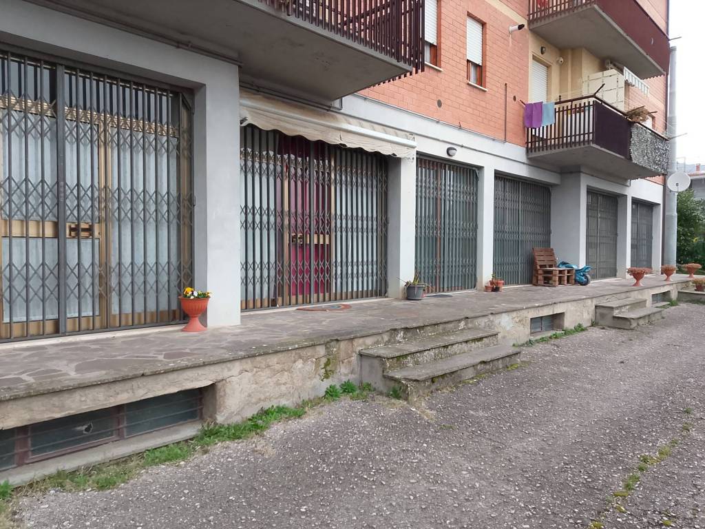 immagine annuncio 2 di 4