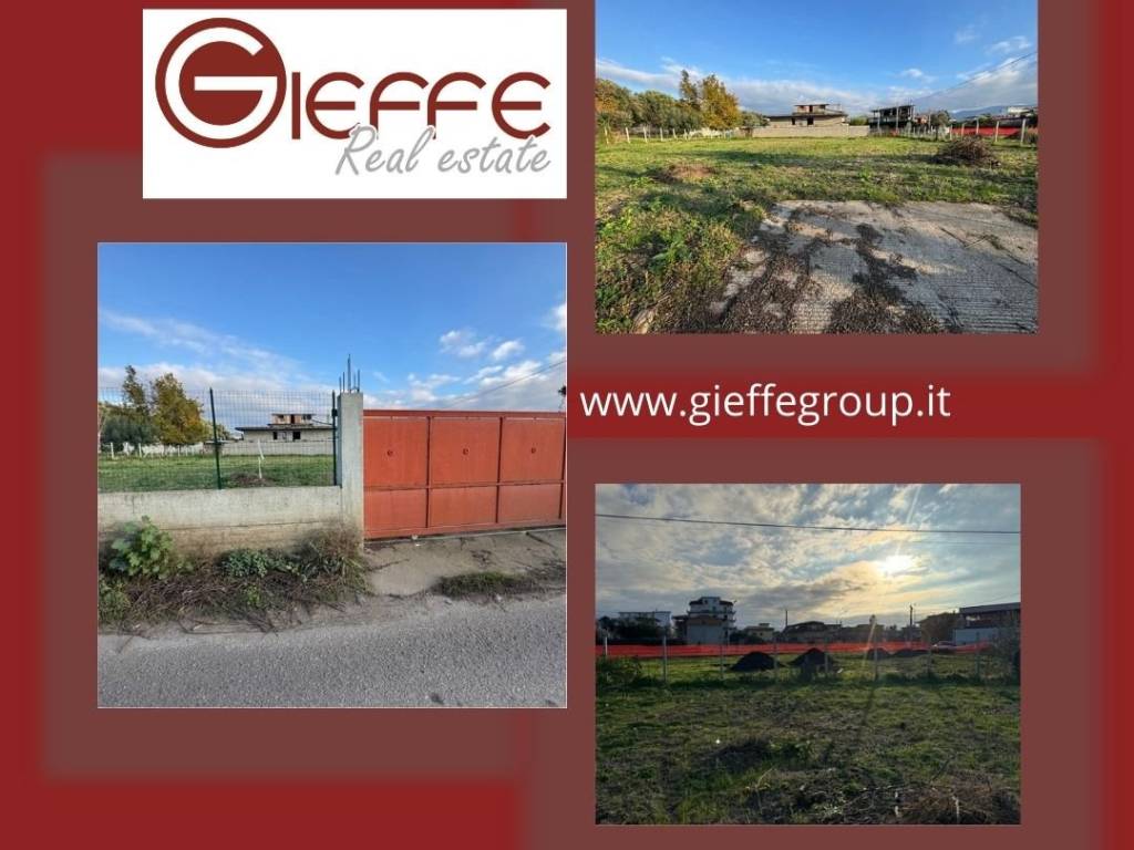 immagine annuncio 0 di 12