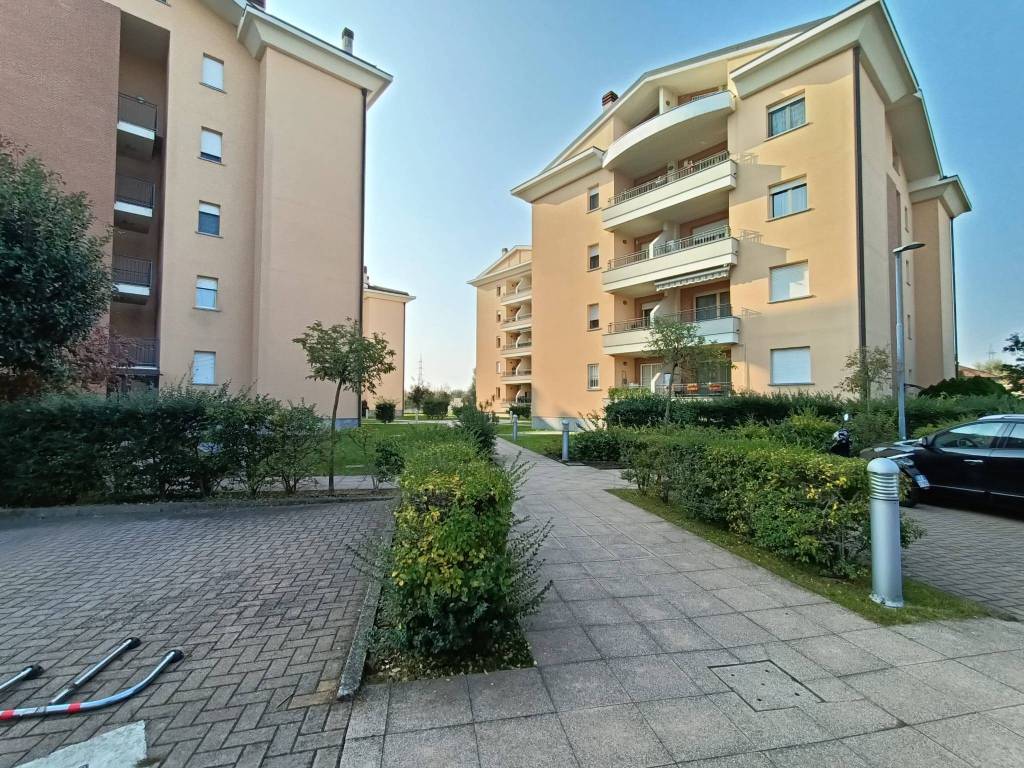 immagine annuncio 1 di 5