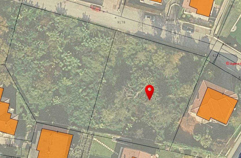 immagine annuncio 3 di 4