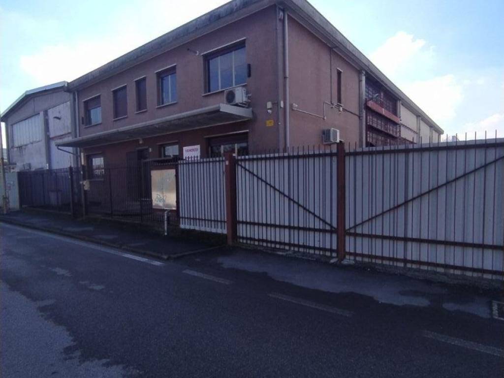 immagine annuncio 2 di 5