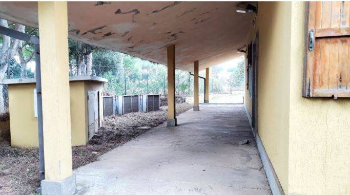 immagine annuncio 2 di 4