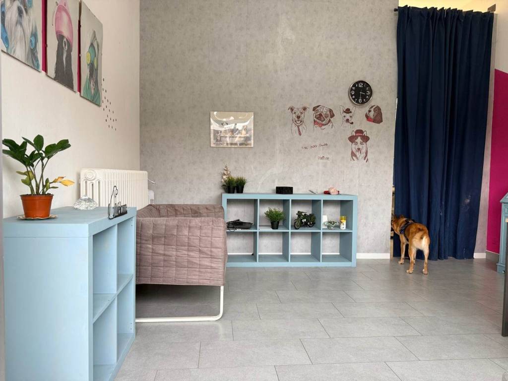 immagine annuncio 3 di 5