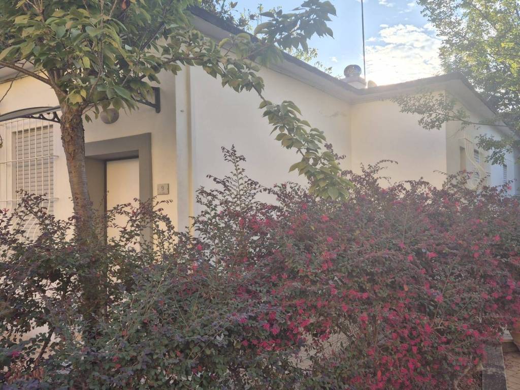 immagine annuncio 1 di 2